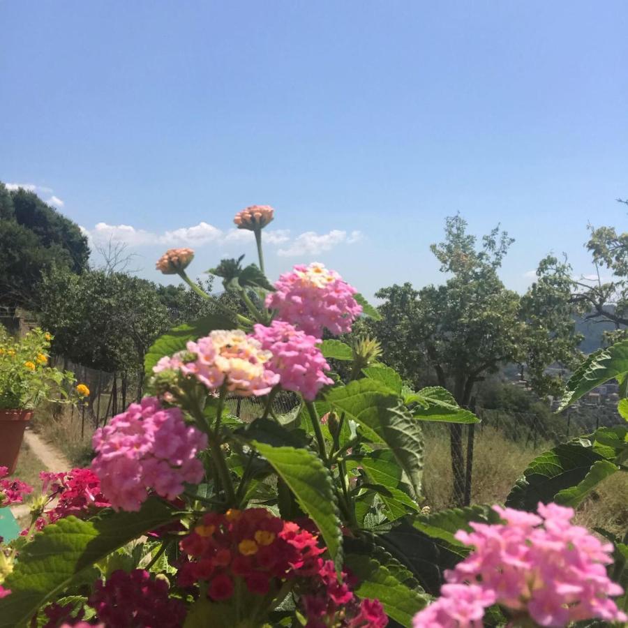 La Riggiola Bed & Breakfast Salerno Luaran gambar