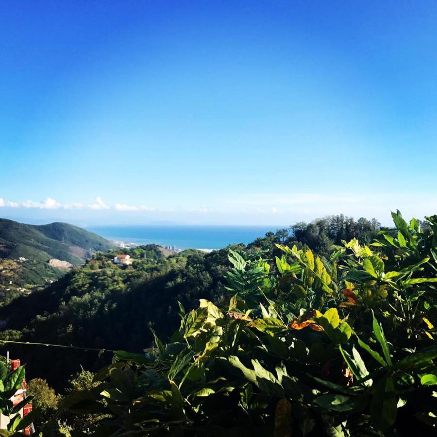 La Riggiola Bed & Breakfast Salerno Luaran gambar