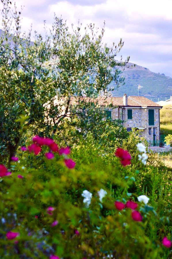 La Riggiola Bed & Breakfast Salerno Luaran gambar