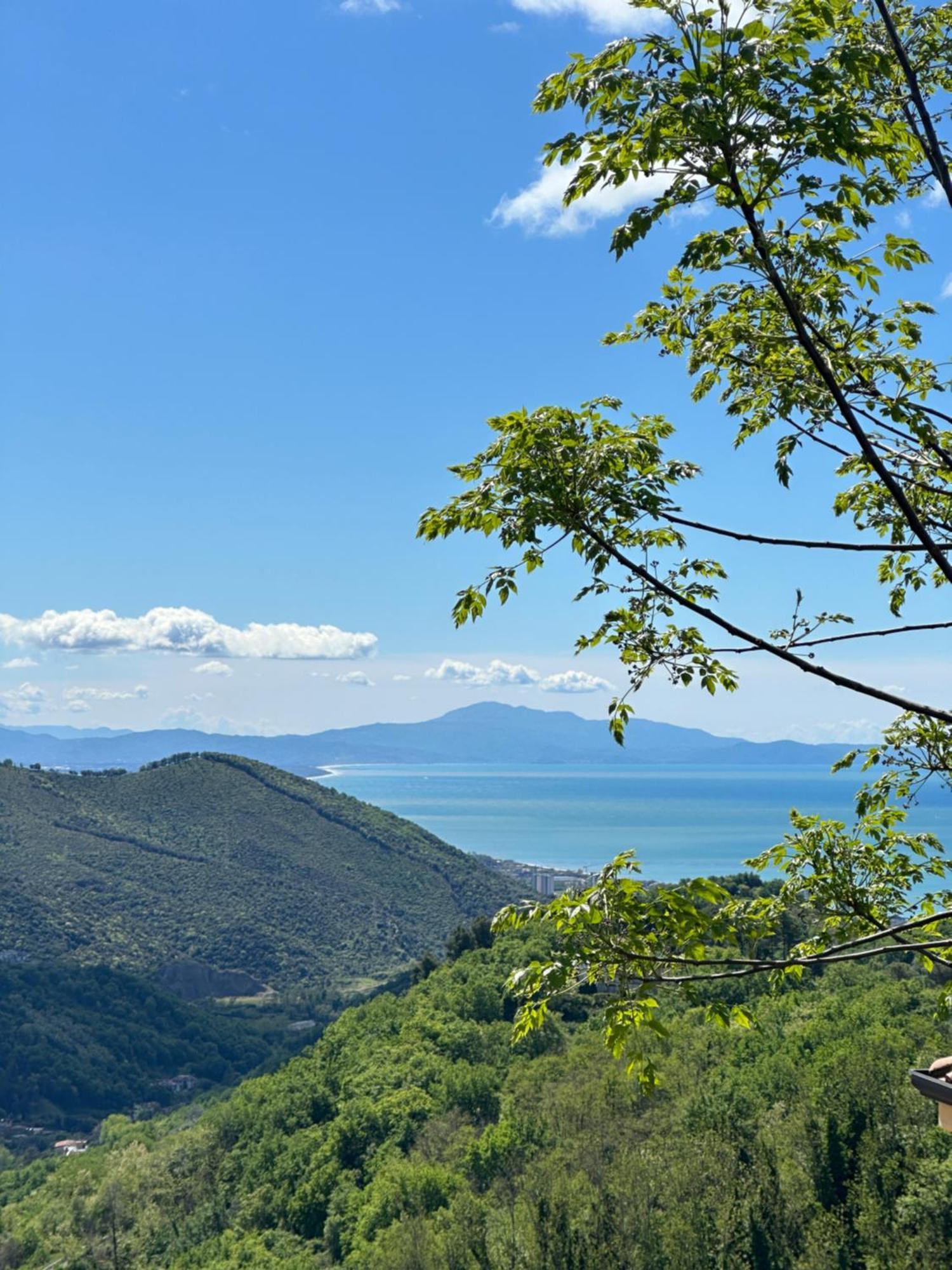 La Riggiola Bed & Breakfast Salerno Luaran gambar